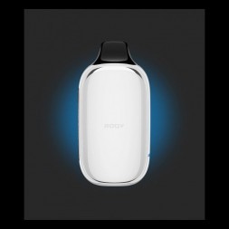 ROQY L - Кислая Черника Малина (20000 затяжек)