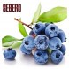 Табак Sebero - Blueberry (Голубика, 25 грамм)