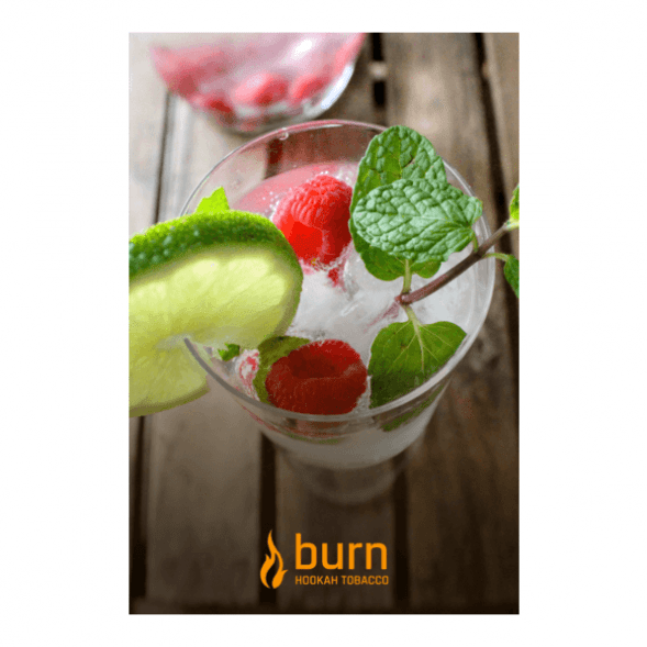 Табак Burn - Kamikaze (Лайм Малина Лед, 25 грамм)