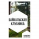 Табак Сарма - Байкальская Клубника (25 грамм)