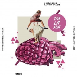 Табак Palitra - Sour Rasp Berry (Кислая Малина, 200 грамм)