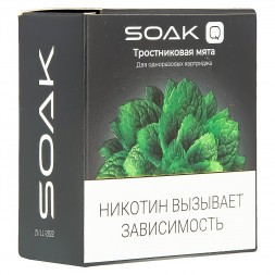Картридж SOAK Q - Тростниковая Мята (1500 затяжек х 2 шт.)
